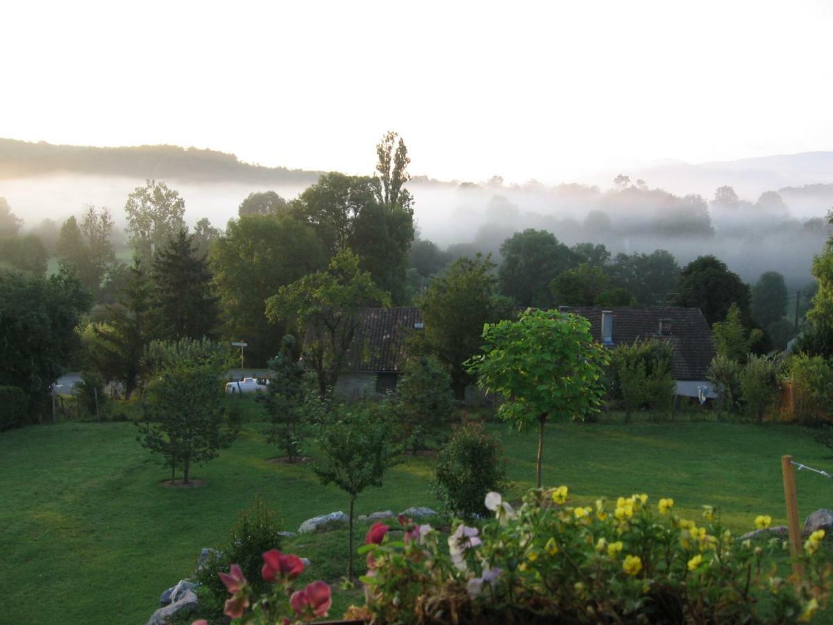 Splendide Vue Pyrenees, Rez De Jardin 2 Chambres Montjoie-en-Couserans エクステリア 写真