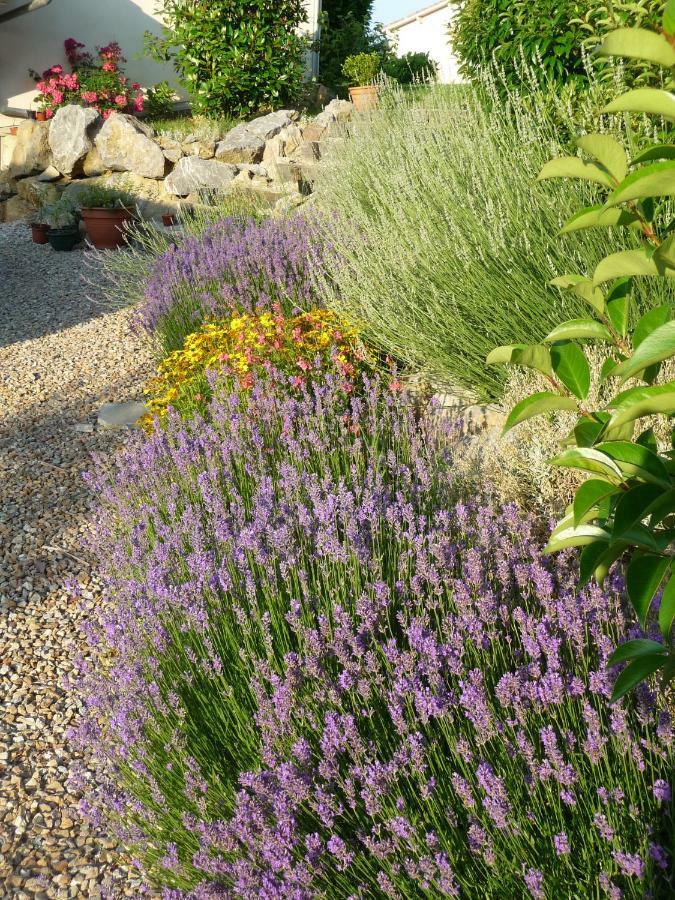 Splendide Vue Pyrenees, Rez De Jardin 2 Chambres Montjoie-en-Couserans エクステリア 写真